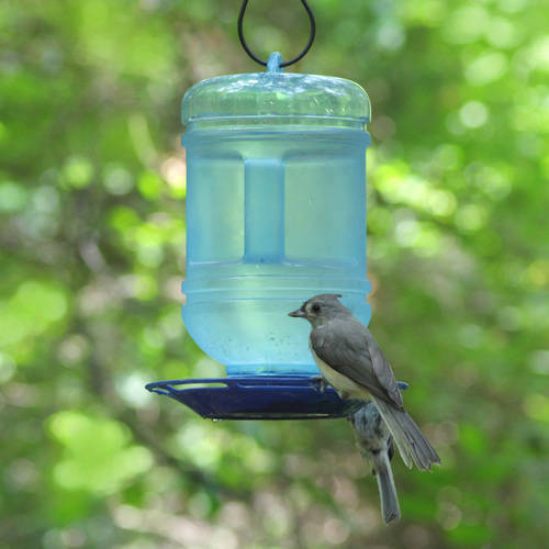 Perky-Pet 48 oz Water Cooler Bird Waterer