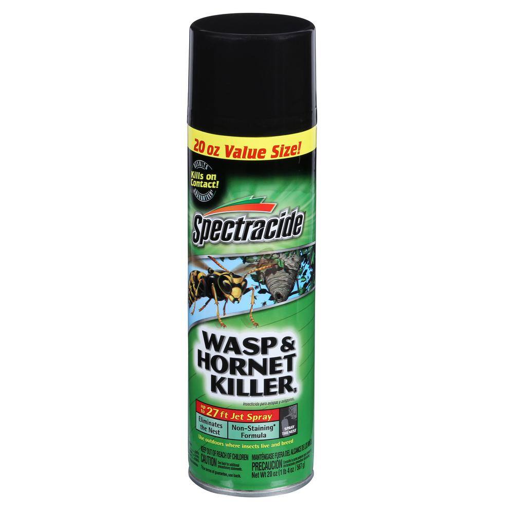 Spectracide Aerosol Wasp and Hornet Killer Spray (2-Count) HG-65865-1