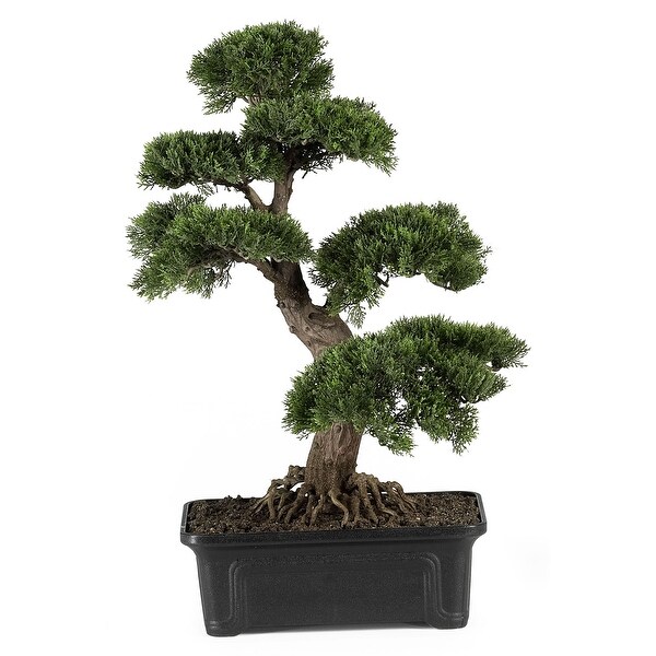 Cedar Bonsai 24 Silk Plant