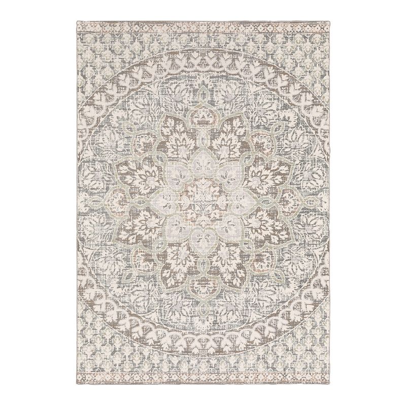 StyleHaven Camelia Distressed Floral Area Rug