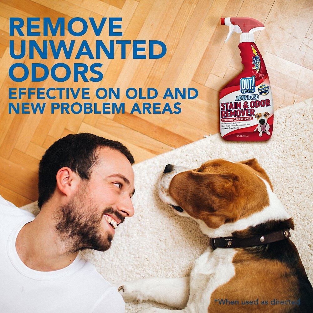 OUT! PetCare Advanced Stain and Odor Remover， 32-oz bottle， 2 count