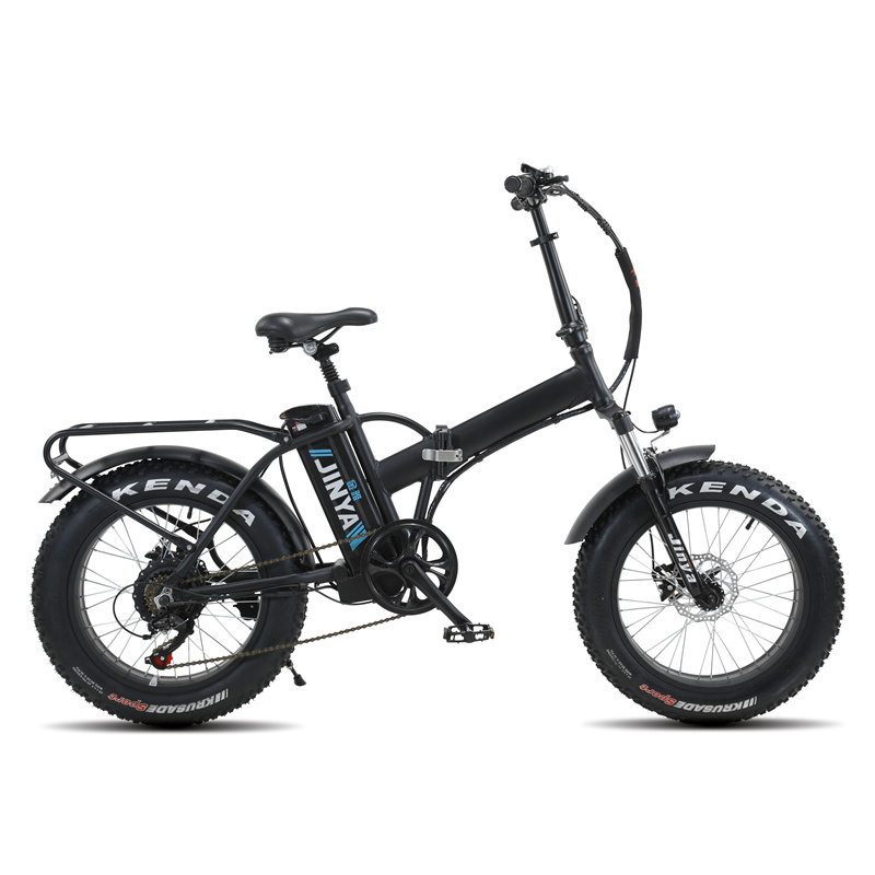 FACTORY 1000W Adult Beach Snowmobile Electric Mountain Fat Bike Electrical Bicycle e bikes cycle bicycles