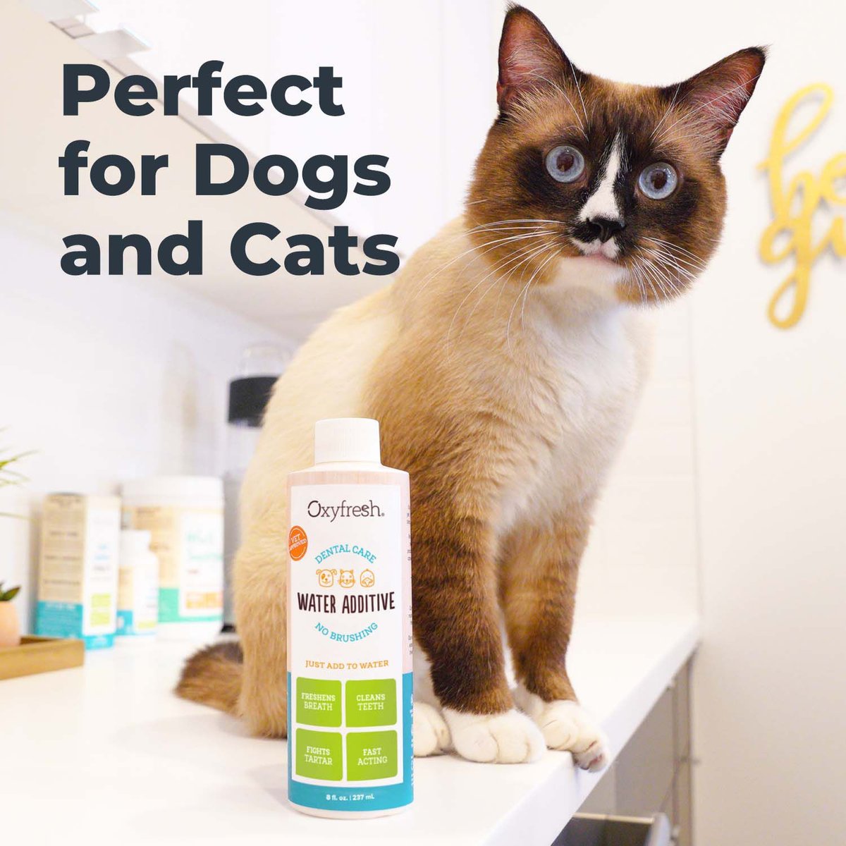 Oxyfresh Premium Pet Care Solution Cat and Dog Dental Water Additive