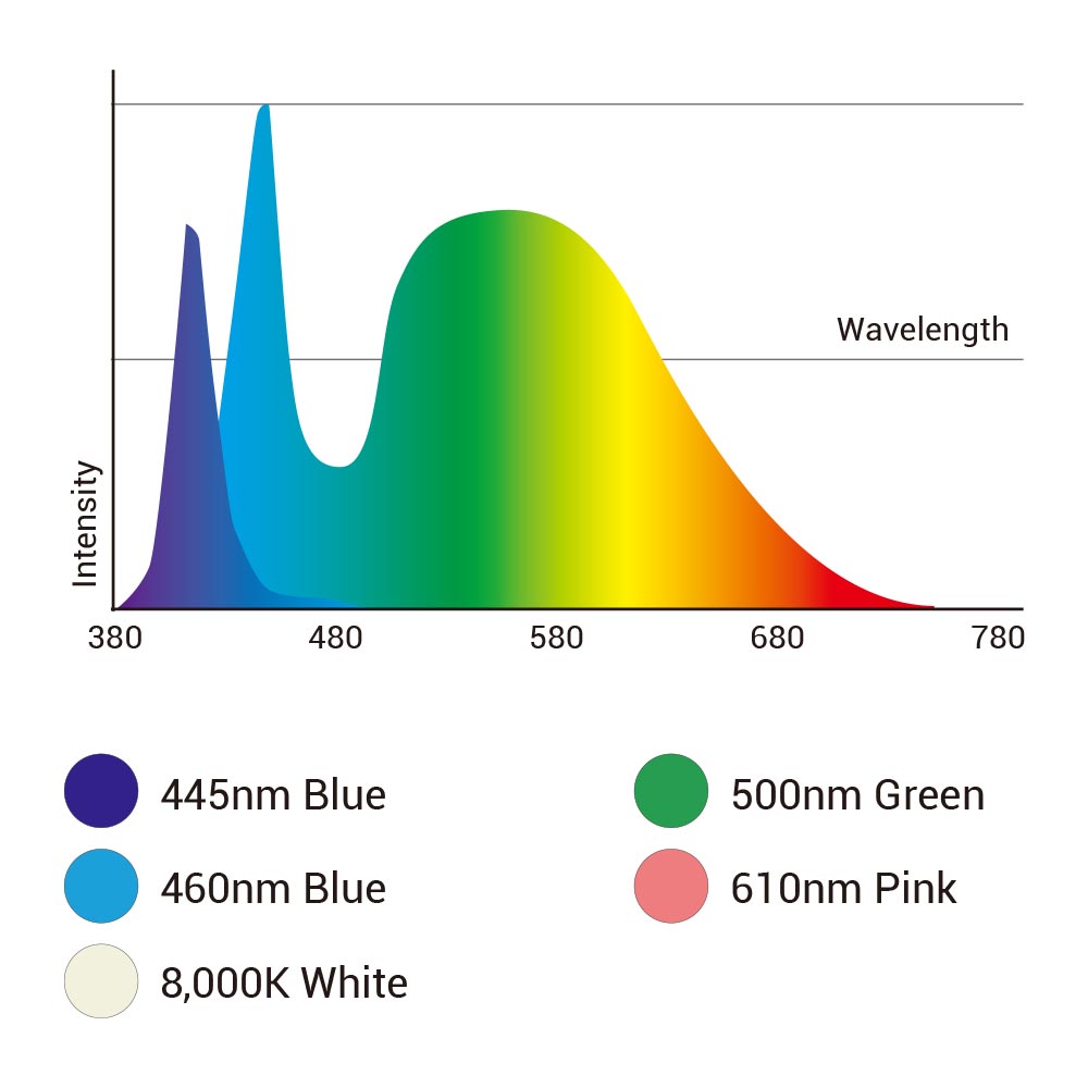 AquaBasik Full Spectrum LED Aquarium Fish Tank Lighting 24-35in 78