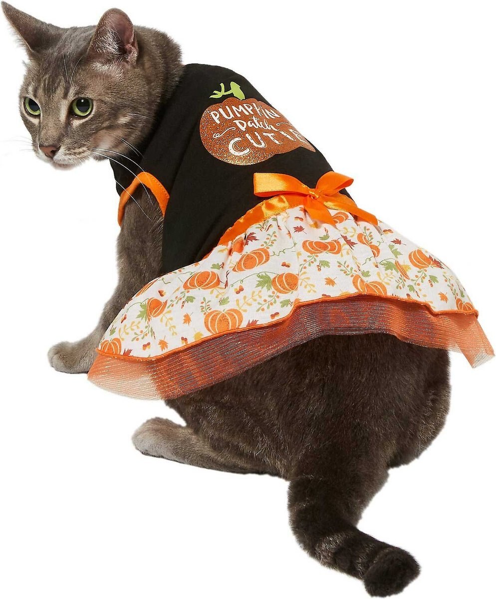 Frisco Pumpkin Patch Cutie Dog and Cat Dress