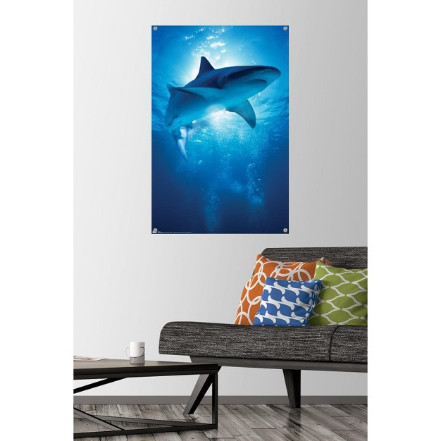 Trends International Shark Depths Unframed Wall Poster Prints