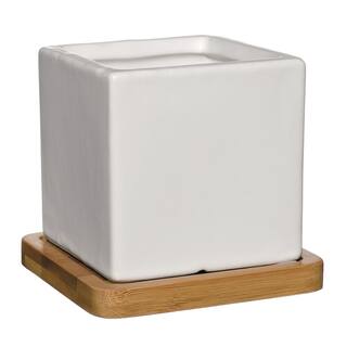 Nova 3.5 in. White Ceramic Square Planter with Tray HD1139-089