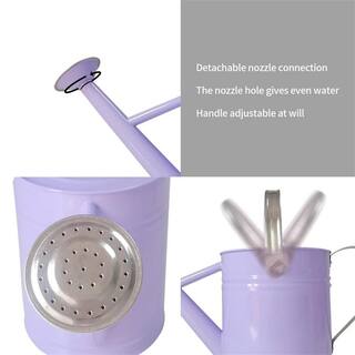 Dyiom 1 Gal. Purple Metal Watering Can B0B4JQ8GDS