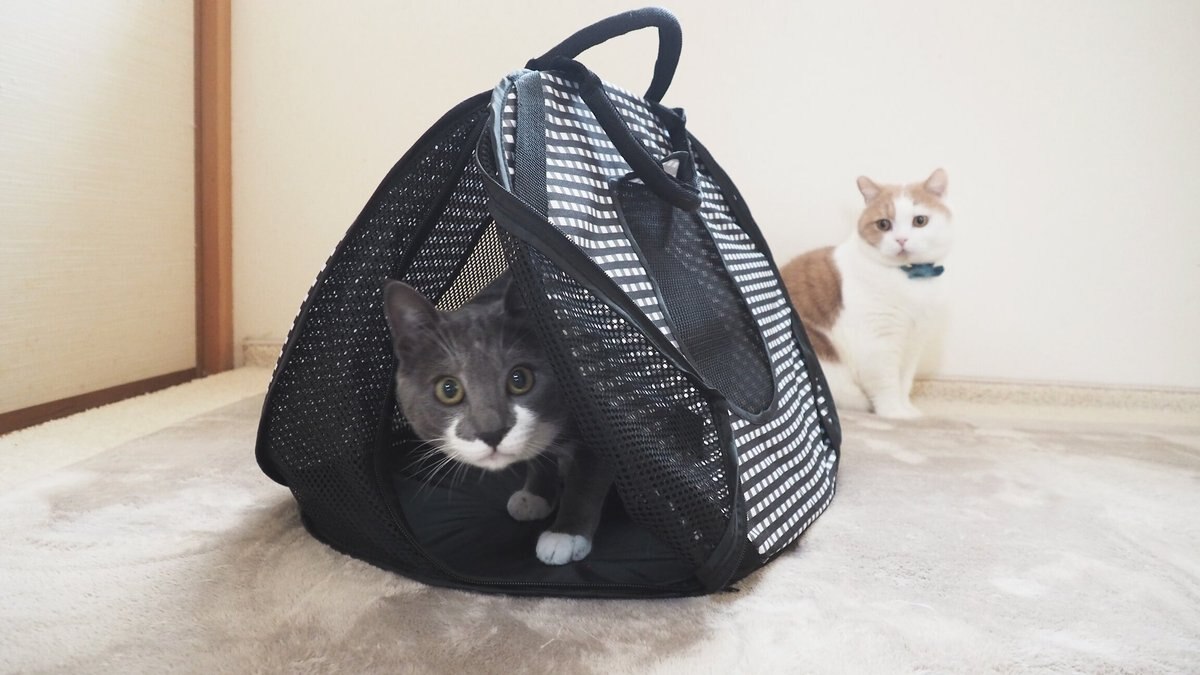 Necoichi Ultra Light Collapsible Cat Carrier Bag