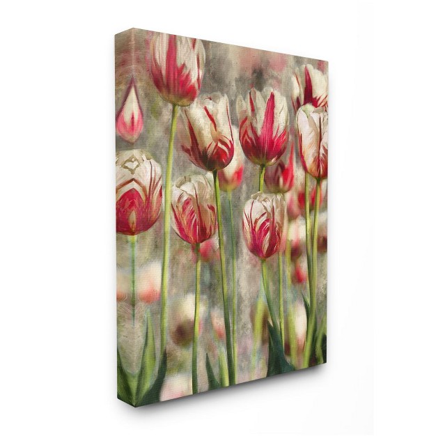 Stupell Industries Spring Tulips In Flower Field Pink White