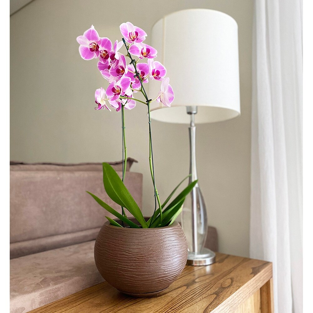 Floridis Florence Planter