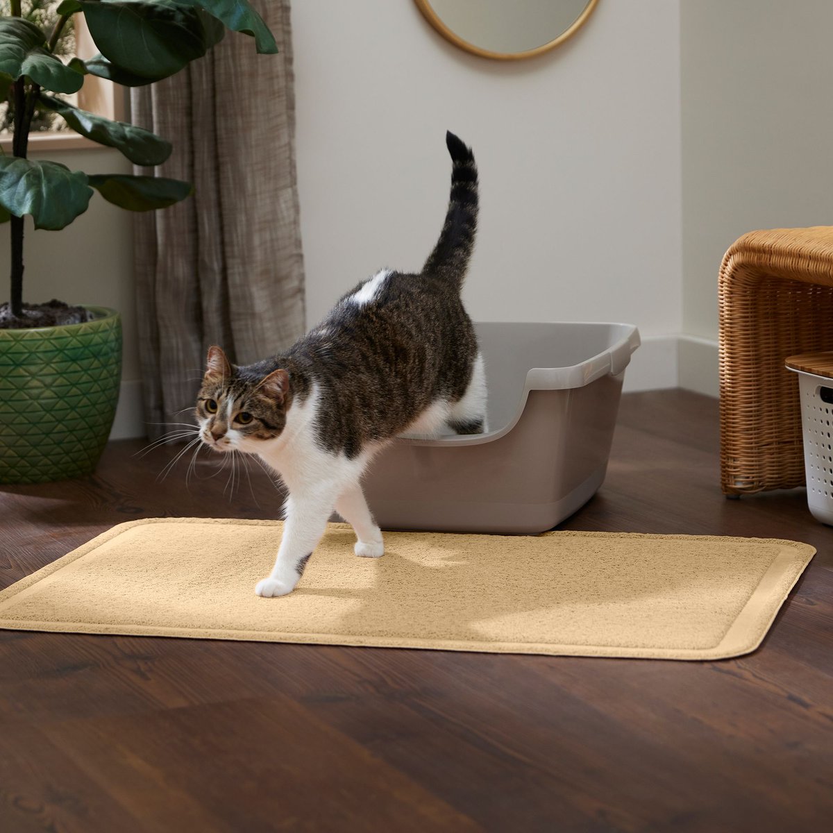 Frisco Rectangular Cat Litter Mat