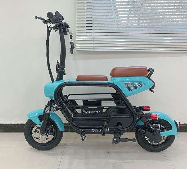 electric bicycle foldable light fashion ebike lithium battery 48v 500w mini cycle with two seats