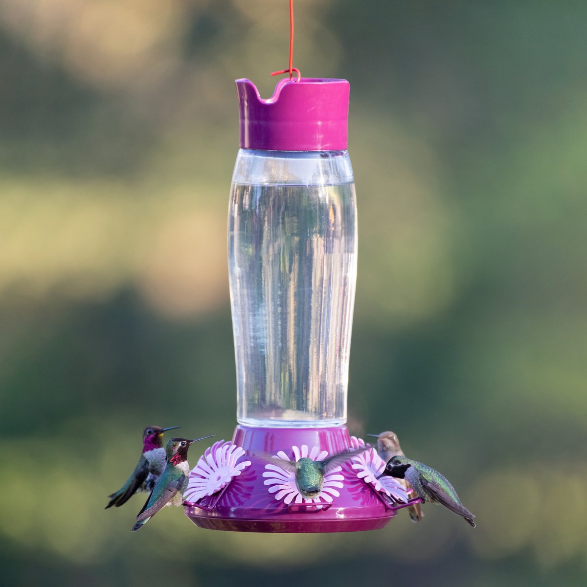 Perky-Pet Top-Fill Hummer’s Favorite Glass Hummingbird Feeder