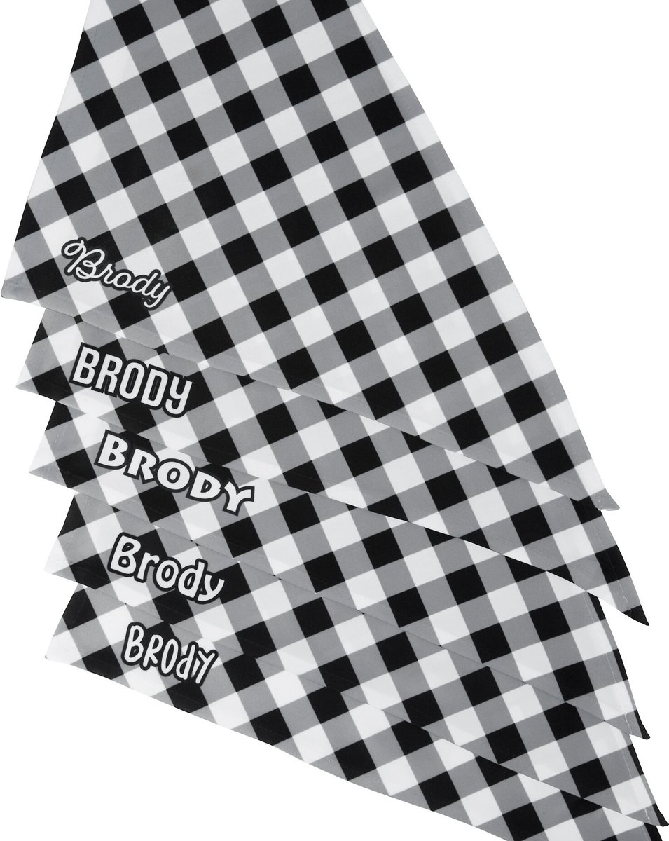 Frisco Gingham Personalized Dog and Cat Bandana