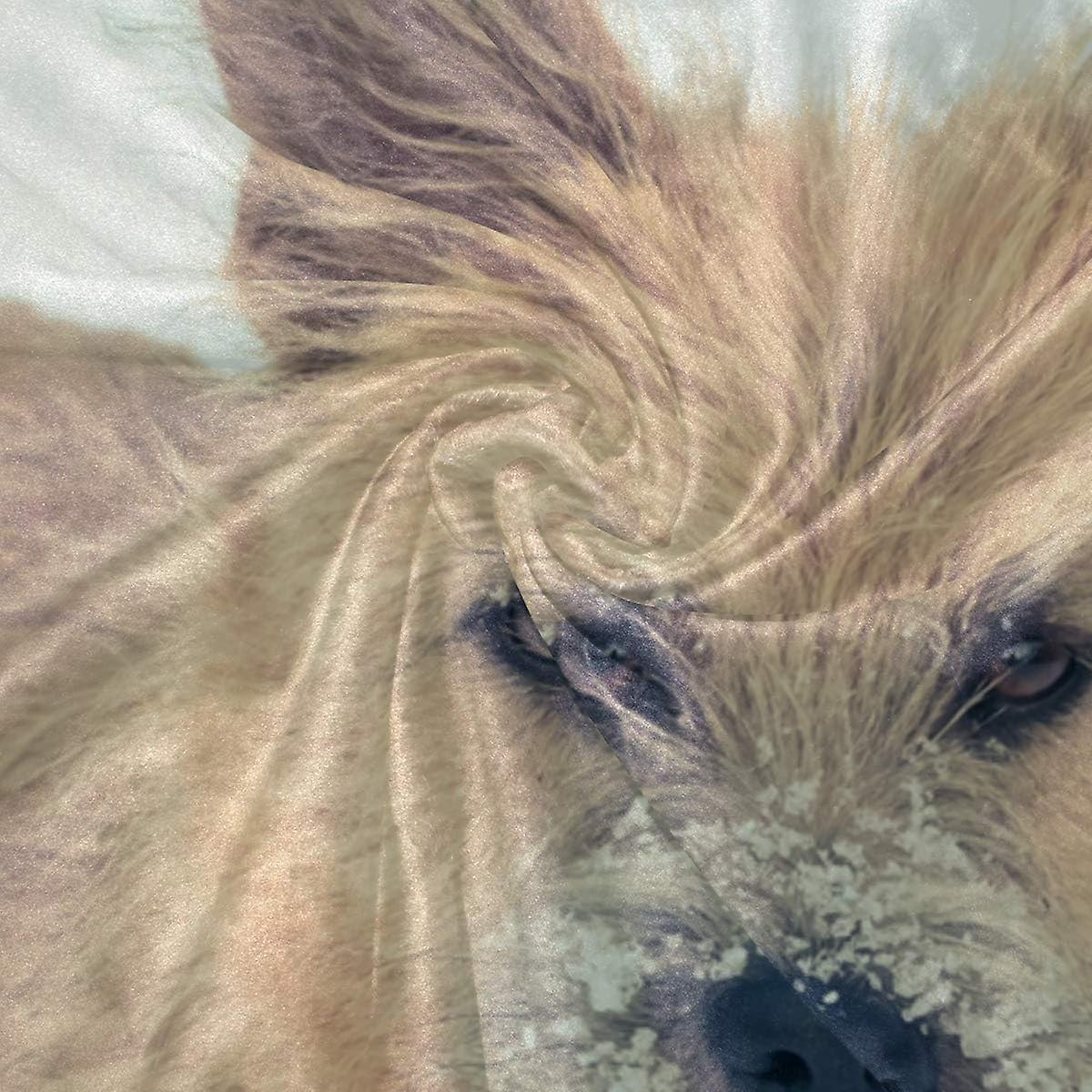 Velvet Plush Throw Thermal Blanket 5 X 7.5 Ft Dog Stained His Nose Flannel Fleece Blanket For Men Women Couch Bed Sofa Car