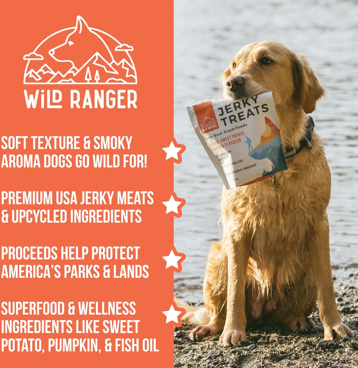 Wild Nature Chicken， Sweet Potato， Pumpkin and Flaxseed With Real Superfoods Jerky Dog Treats， 8-oz bag