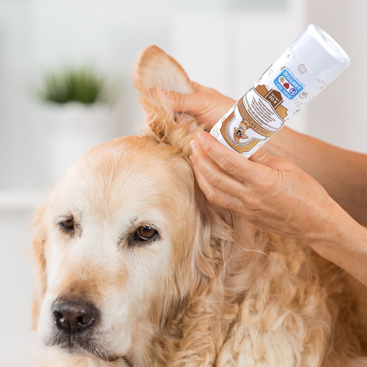 Pawtitas Organic Ear Dog Cleaner