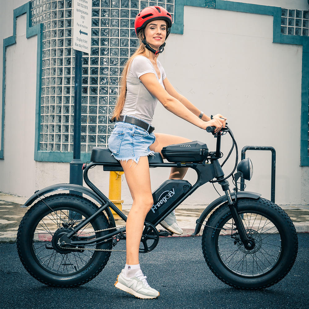 20 inch Hot High Quality Electric Moutain Bike 1200w 48v Long Range Electric Bicycle Dirt Cycle