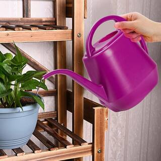 Cubilan 1 Gal. Purple Plastic Watering Can B08H59HSHZ