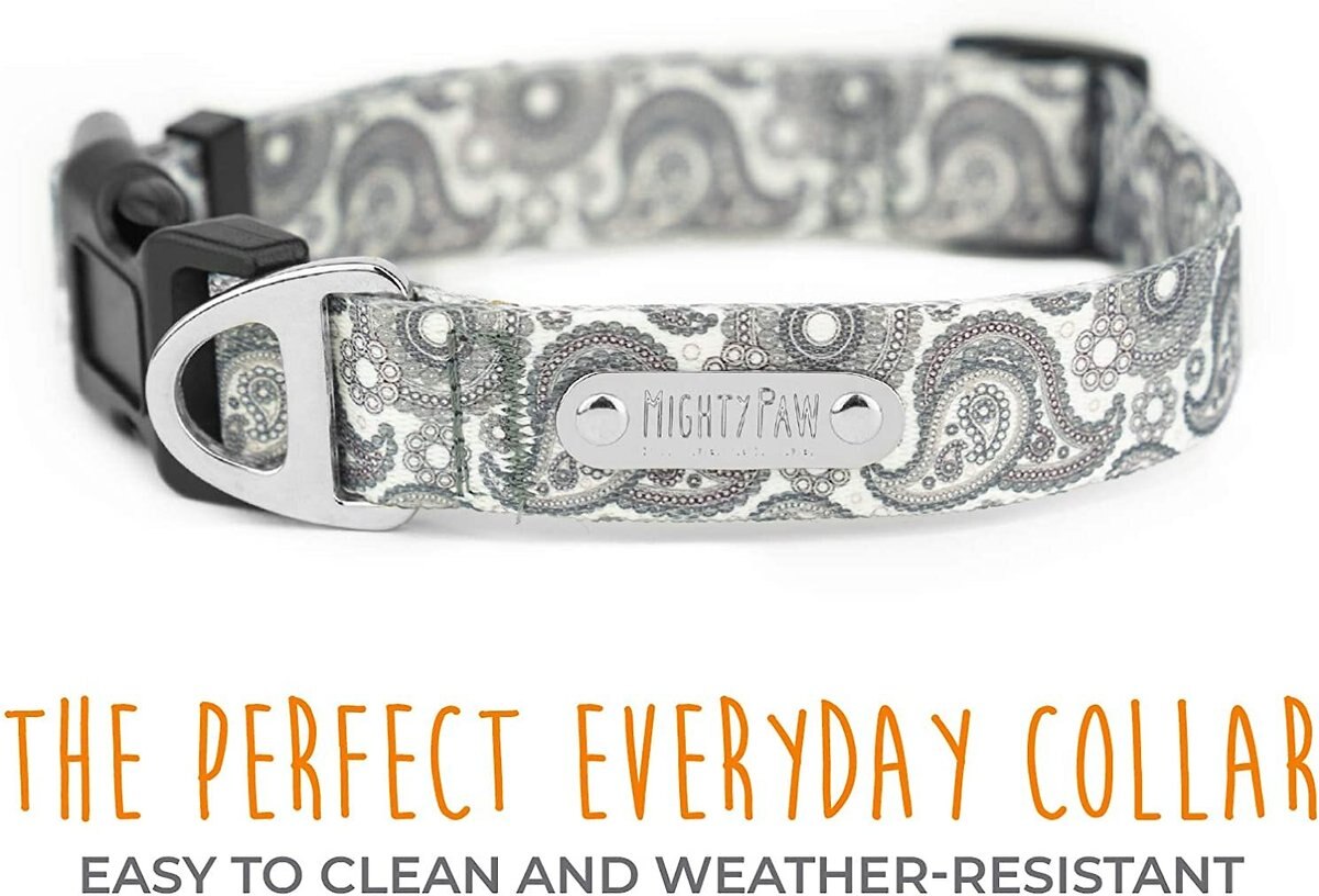 Mighty Paw Designer Paisley Dog Collar