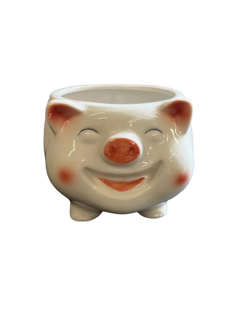 Cute Porky Ceramic Planter