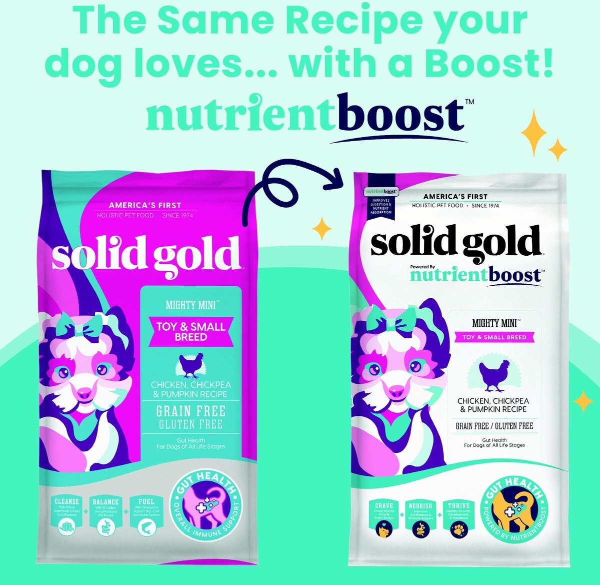 Solid Gold NutrientBoost Mighty Mini Gut Health Small and Toy Breed Grain-Free Chicken， Chickpea and Pumpkin Dry Dog Food