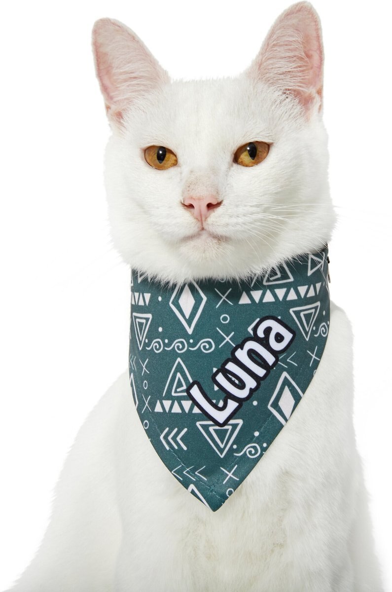 Frisco Boho Geo Personalized Dog and Cat Bandana