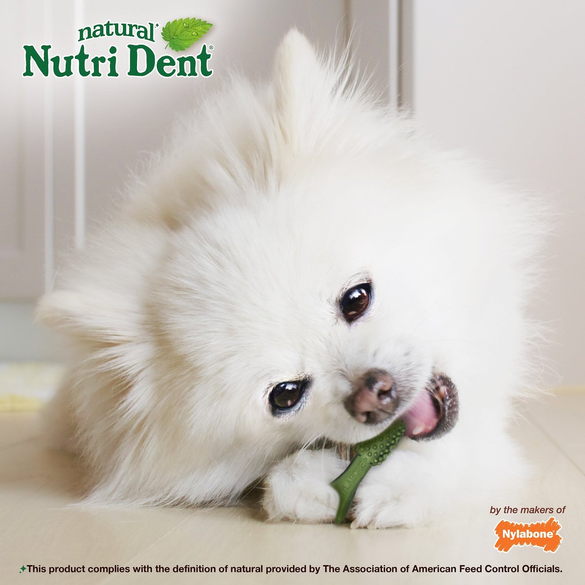 Nylabone Nutri Dent Mini Limited Ingredients Fresh Breath Natural Dental Dog Treats