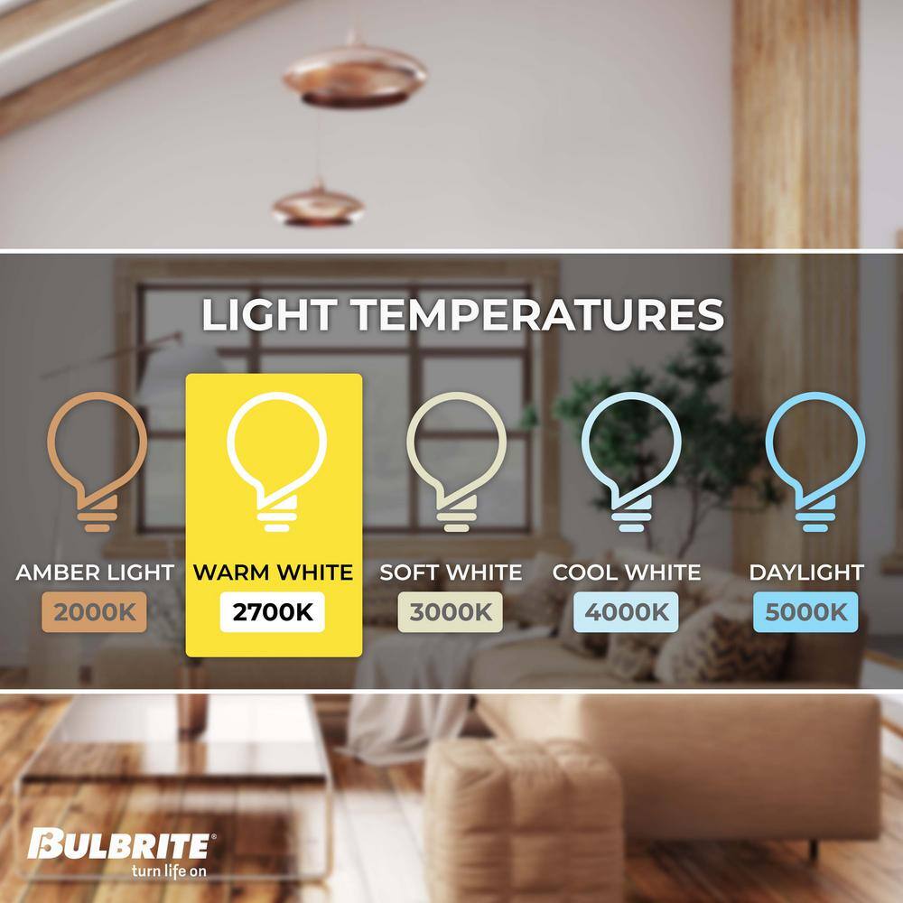 Bulbrite 60-Watt Equivalent G40 Clear Dimmable Edison LED Light Bulb Warm White (2-Pack) 861573