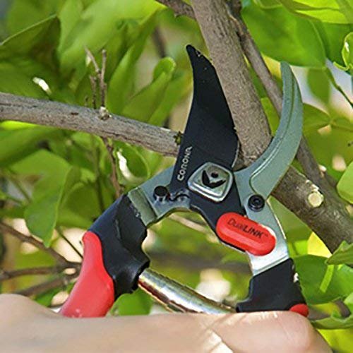 Corona BP 4314D Dual Link Bypass Pruner with Comfort Gel Grips, 3/4 Inch