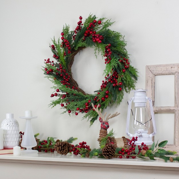 Northlight Mixed Pine And Berries Artificial Christmas Wreath 26 Inch Unlit