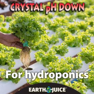 Earth Juice 1.6 lb. Crystal Down pH Adjuster 100538621