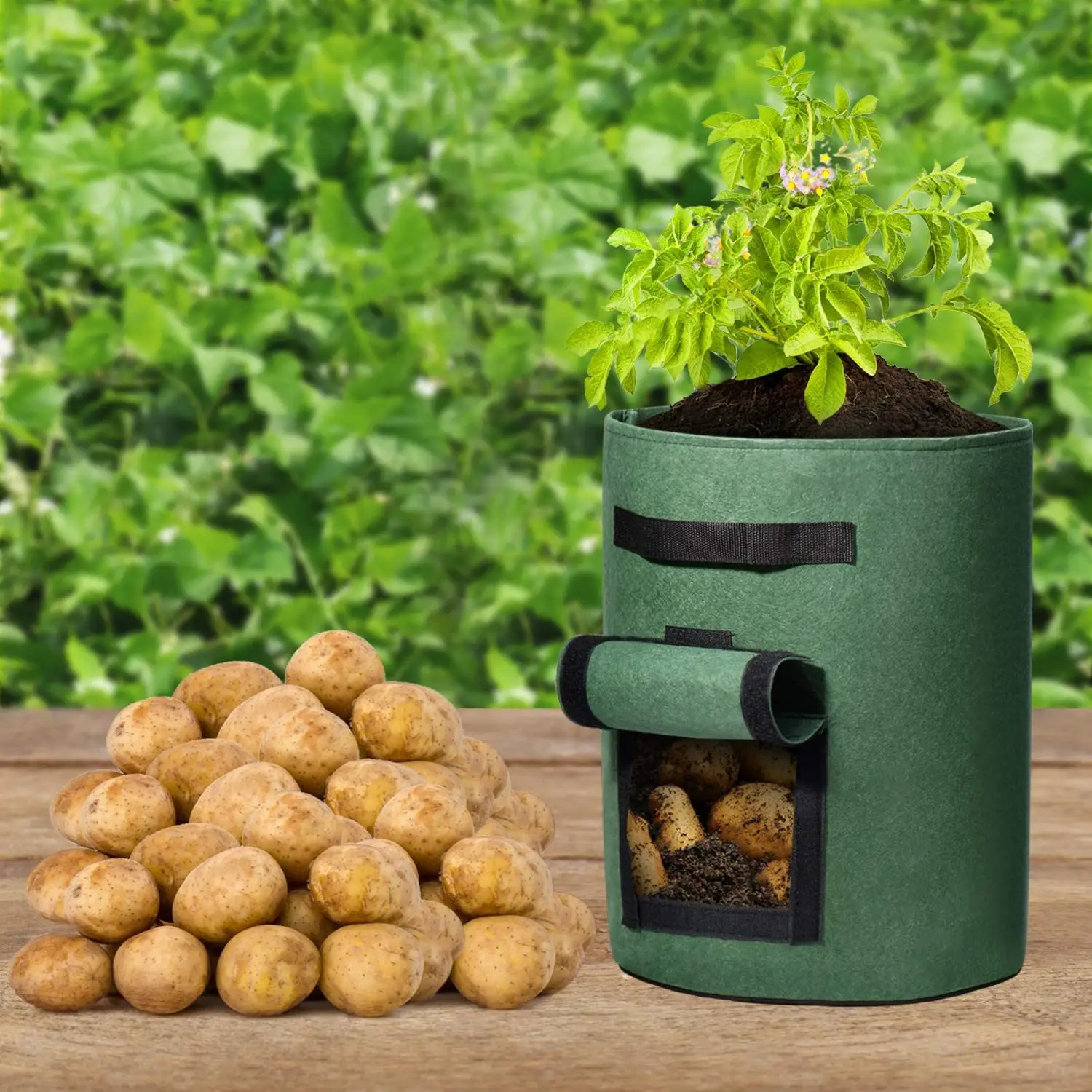 Cheapest thicken felt large small 1 3 5 7 20 gallon vertical planter pots cocopeat potato fabric grow bags