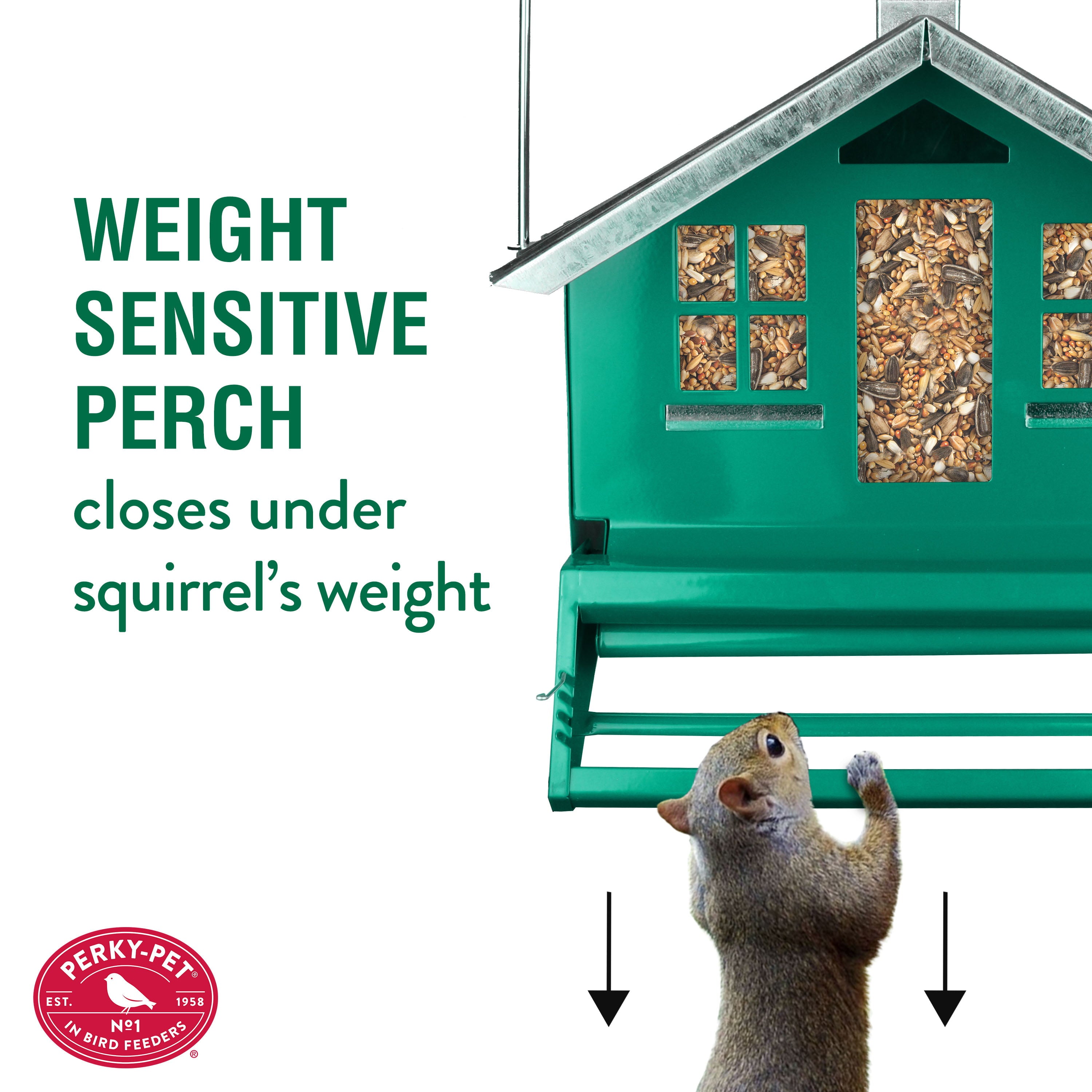 Perky Pet Squirrel Be Gone II Home Style Wild Bird Feeder