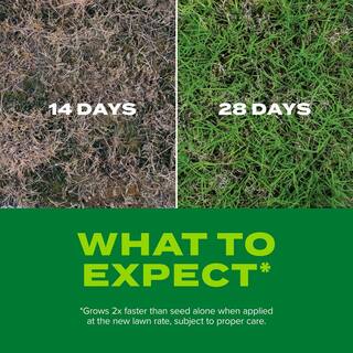 Scotts Turf Builder 8 lbs. Rapid Grass Bermudagrass Combination Seed and Fertilizer Grows Green Grass Fast 18360-1