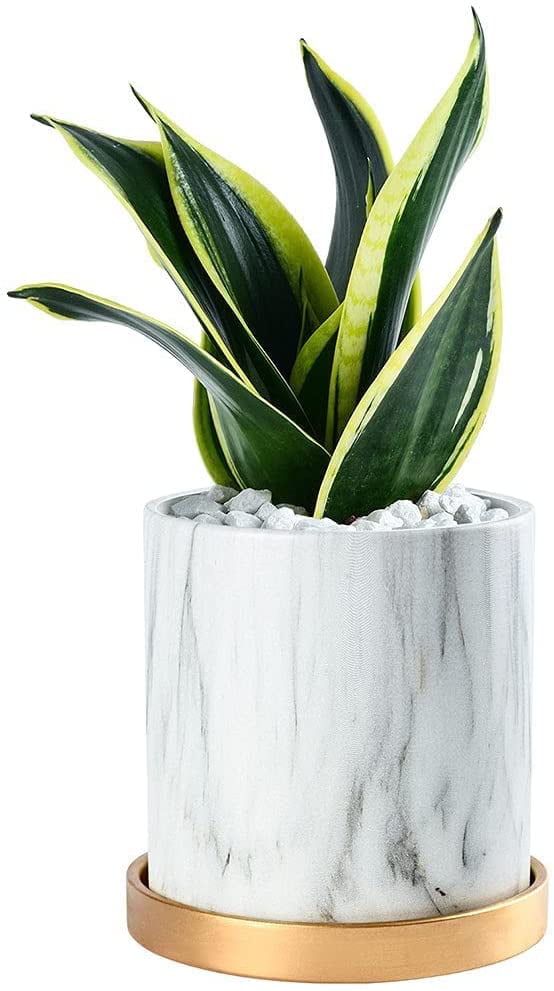 FEIAA Plant Pots Indoor Planter 6 inch Ceramic Flower Orchid Pot with Drainage Holes and Tray Modern Blue Gold for Home Decoration Outdoor