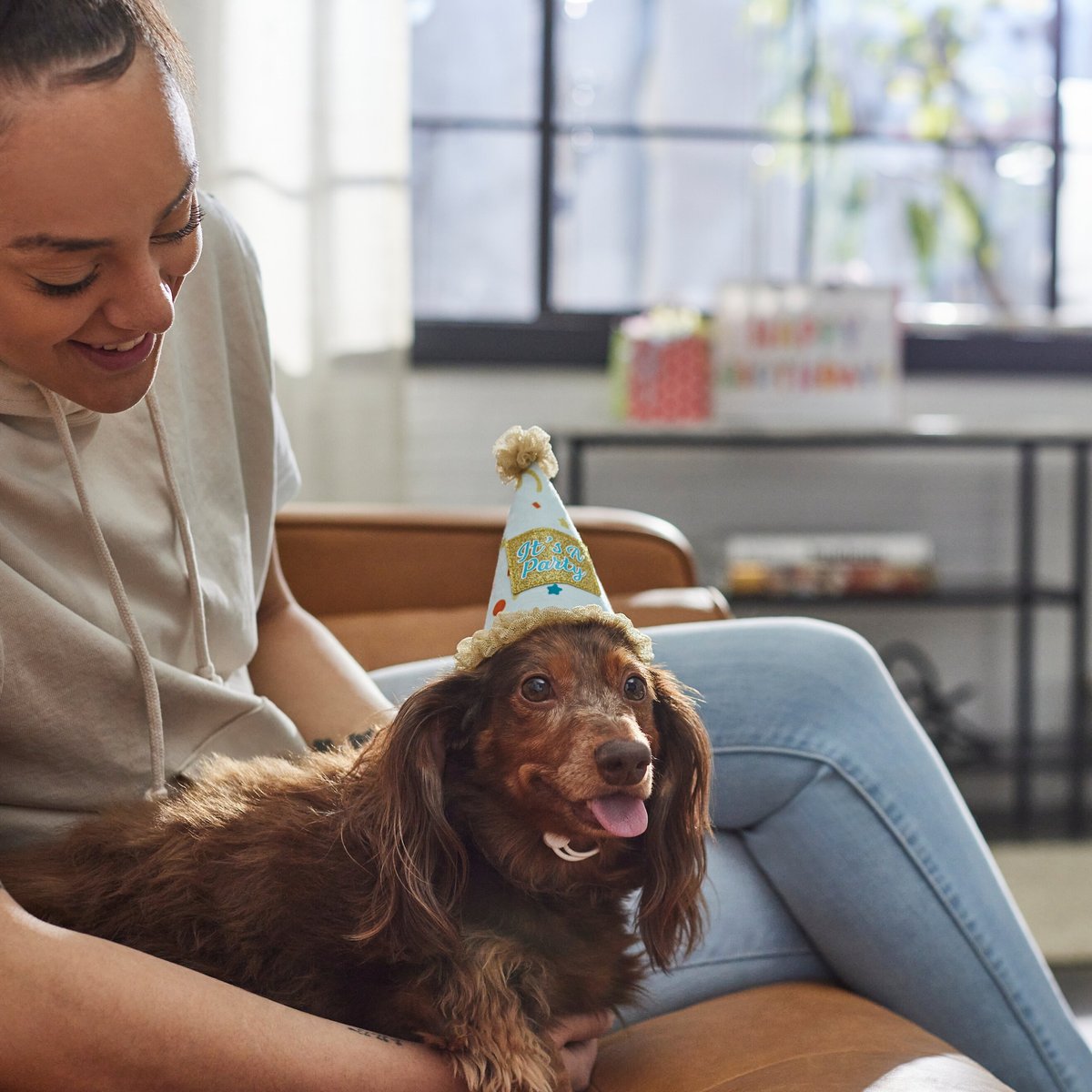 Frisco It's a Party Animal Dog and Cat Hat