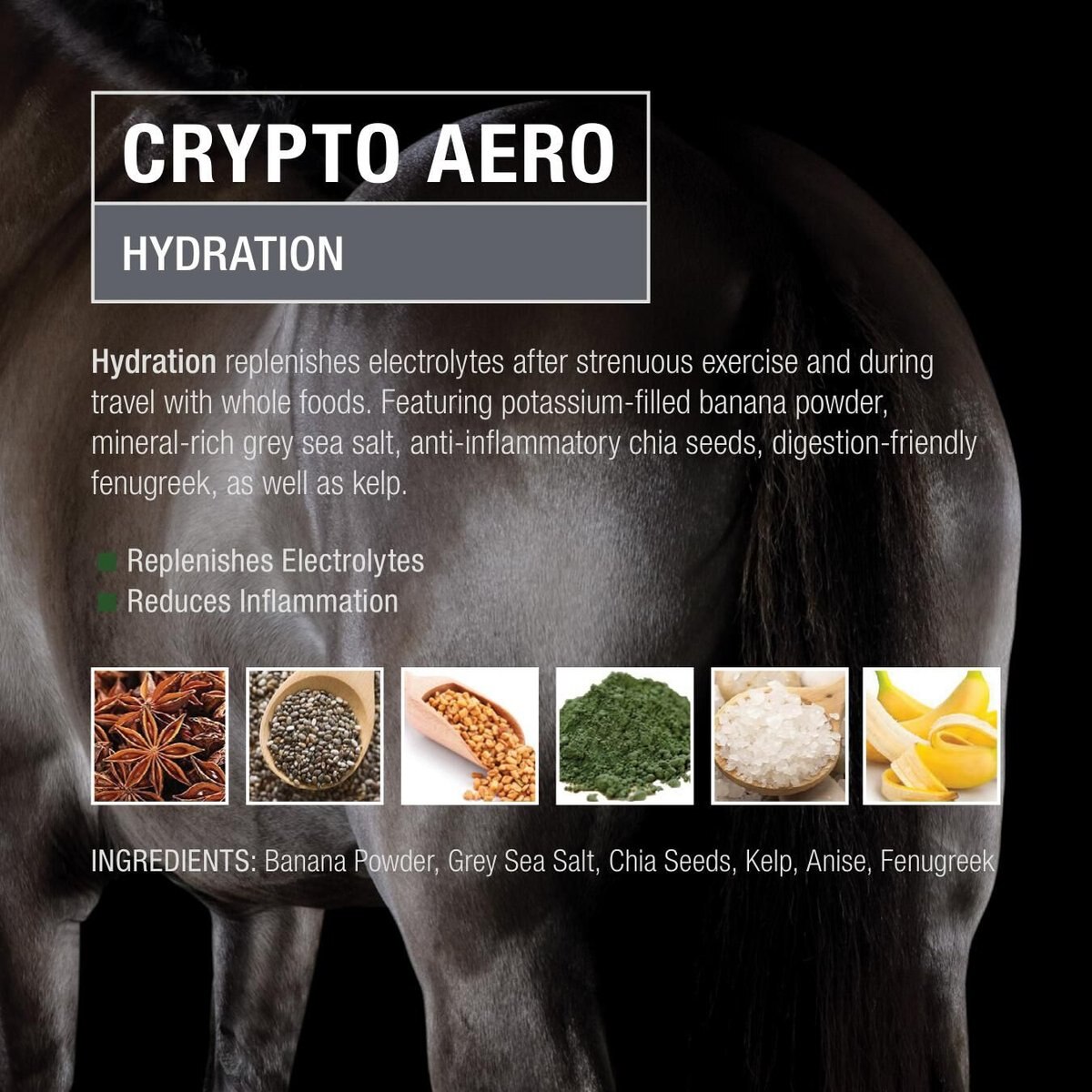 Crypto Aero Hydration and Recovery Powder Horse Supplement