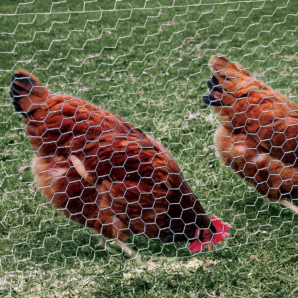 YARDGARD 36 in. x 150 ft. Poultry Netting/Chicken Wire with 1 in. Mesh