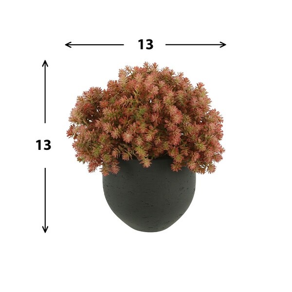 Sedum Arrangement in a Fiberstone Pot