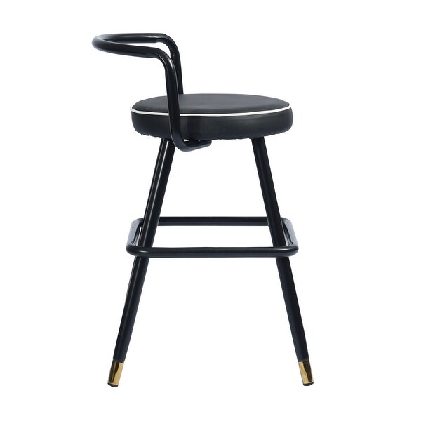 Homylin Bar and Counter Stool (Set of 2)