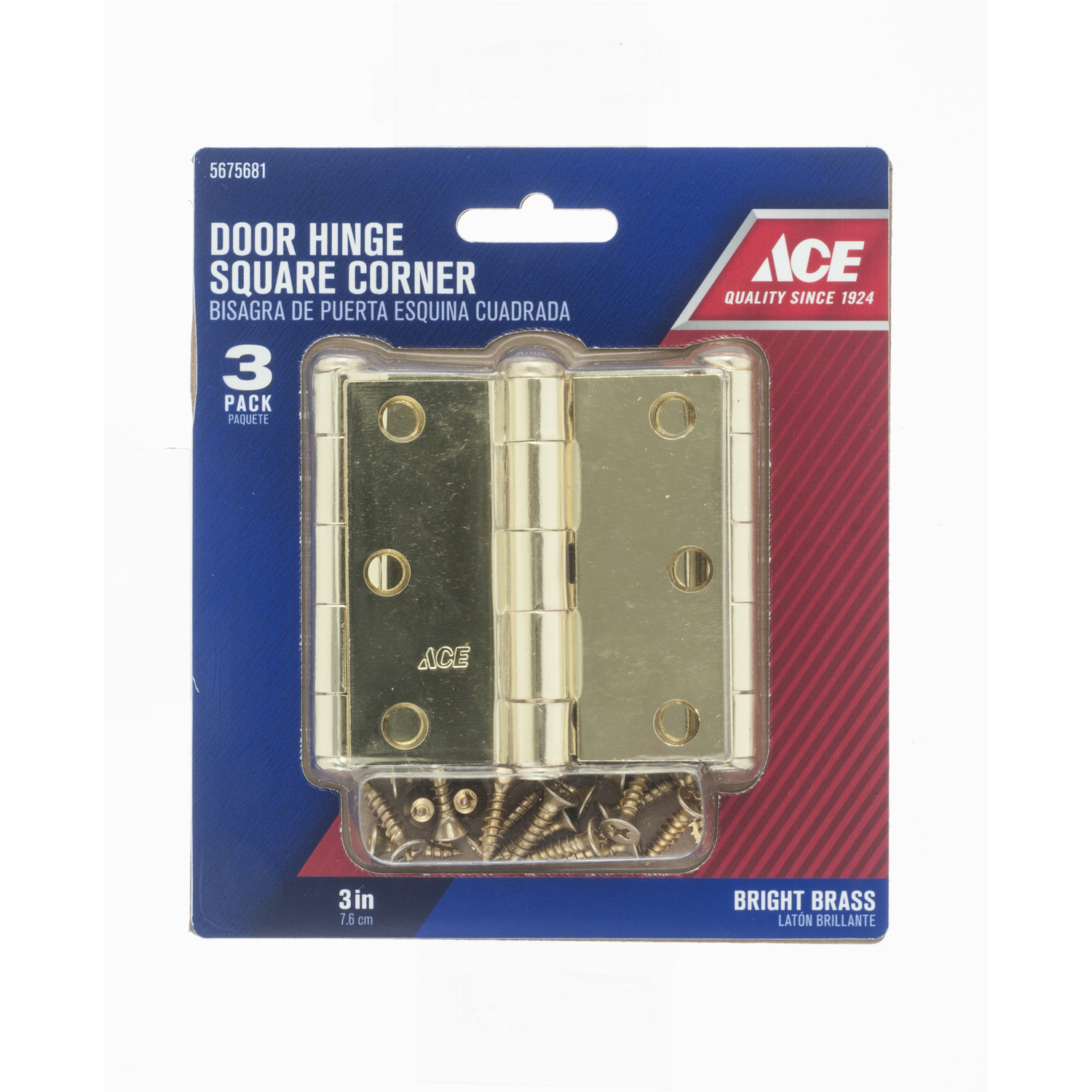 Ace 3 in. L Bright Brass Door Hinge 3 pk