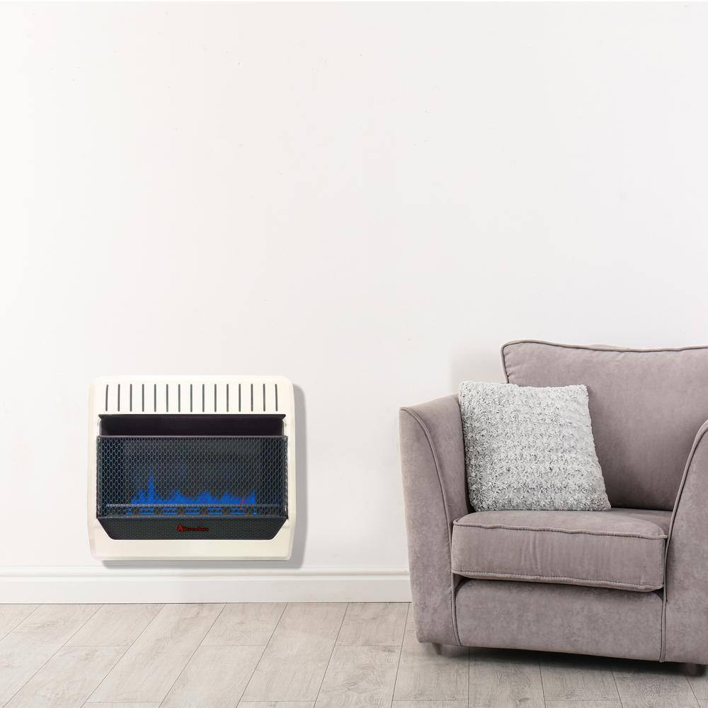 HearthSense 30000 BTU Vent Free Dual Fuel (NG or LP) Blue Flame Heater with Base Feet - T-Stat Control 171101