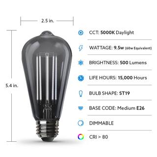 Feit Electric 60-Watt Equivalent ST19 Dimmable Straight Filament Smoke Glass Vintage Edison LED Light Bulb Daylight ST1960SMKLEDHDRP