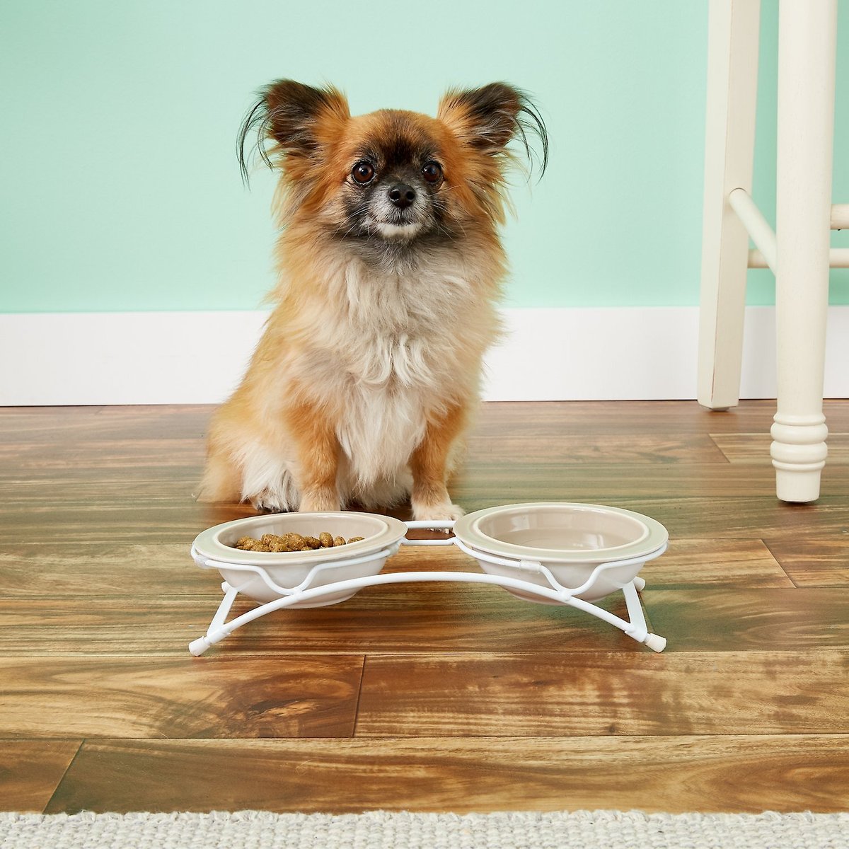 PetRageous Designs Toftee's Paws Double Diner Elevated Pet Bowls