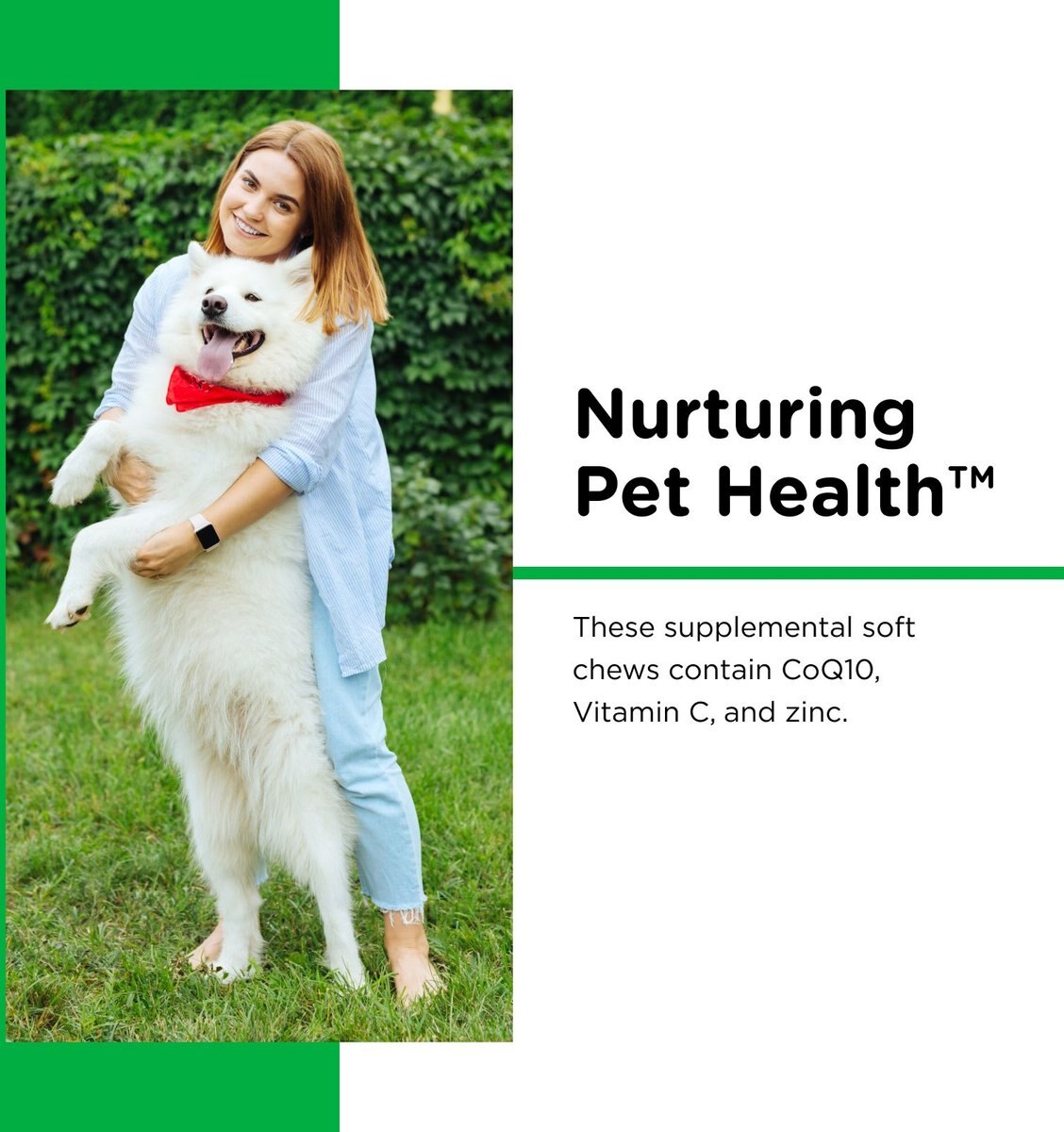 Nutri-Vet Dental Health Dental Dog Treats