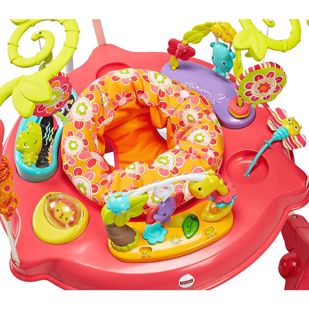 Fisher-Price Jumperoo， Pink Petals