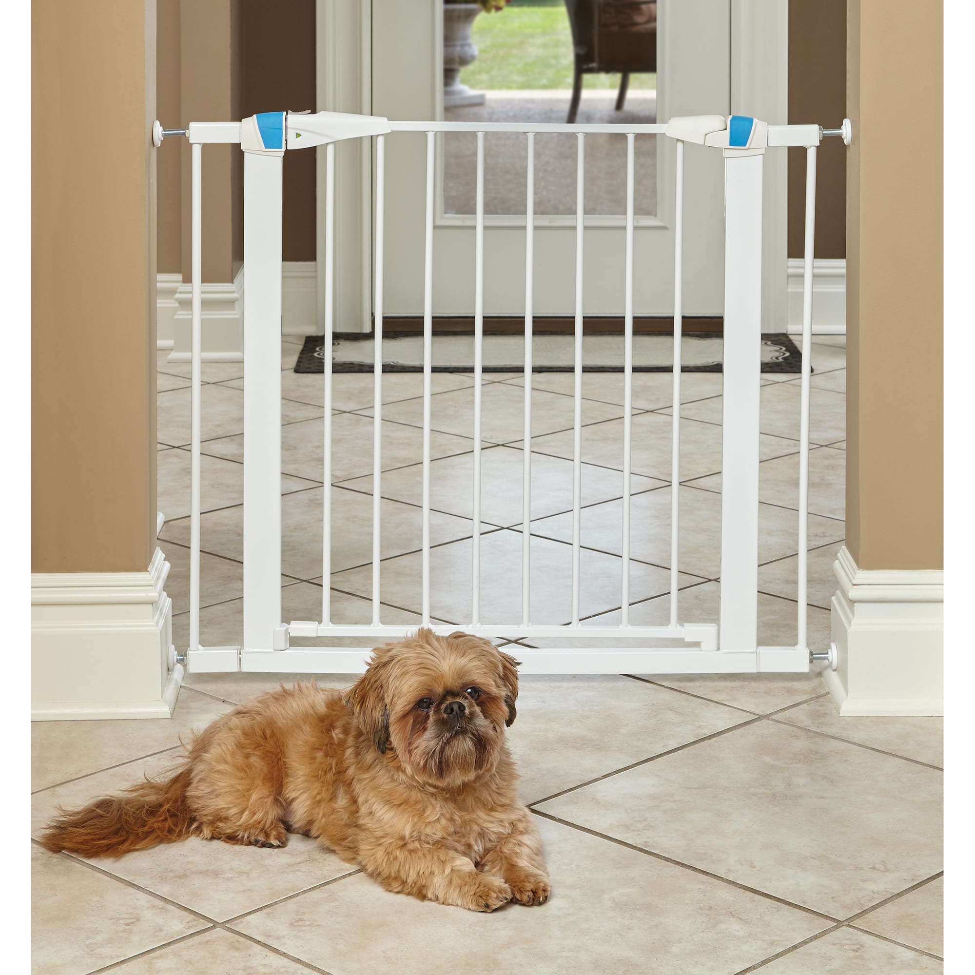 Midwest WalkThru Steel Pet Gate with Safety Glow Framed for Dogs in White， 39