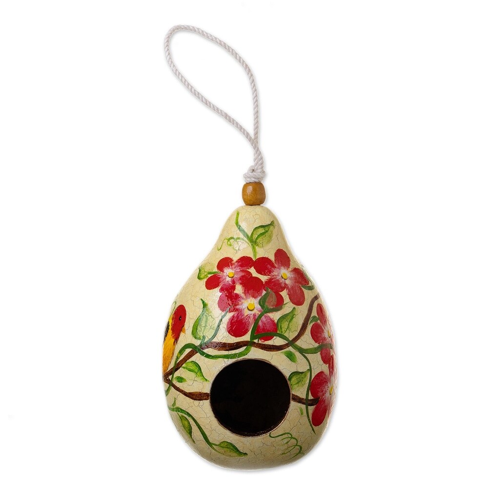 Novica Handmade Antique Courtyard Dried Mate Gourd Birdhouse